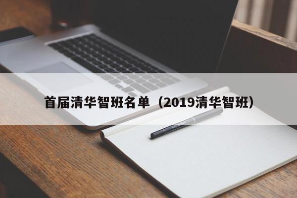 首届清华智班名单（2019清华智班）