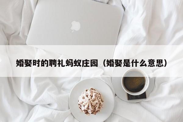 婚娶时的聘礼蚂蚁庄园（婚娶是什么意思）