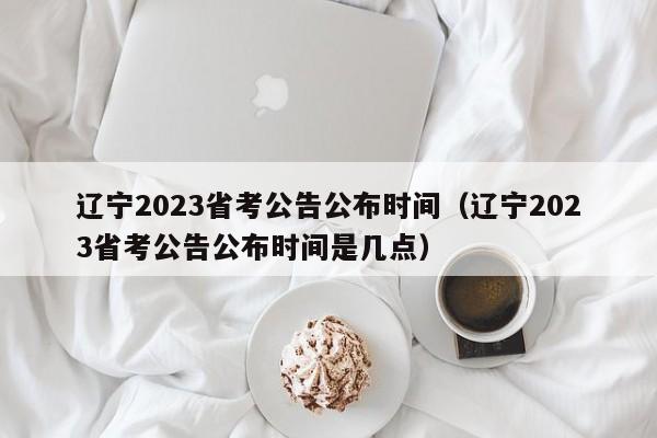 辽宁2023省考公告公布时间（辽宁2023省考公告公布时间是几点）