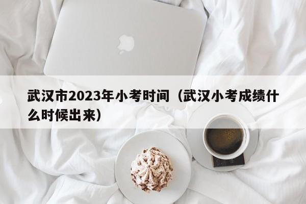 武汉市2023年小考时间（武汉小考成绩什么时候出来）