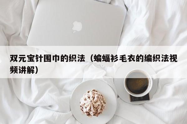 双元宝针围巾的织法（蝙蝠衫毛衣的编织法视频讲解）